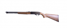 Winchester 190 22lr